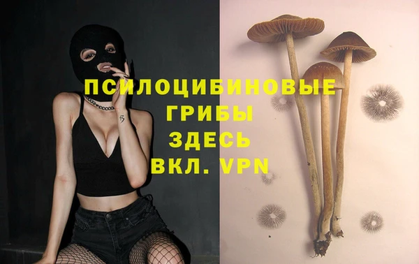 прущая мука Арсеньев