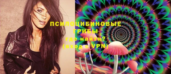 винт Аркадак
