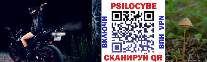 Купить где  Сухой Лог  Псилоцибиновые грибы Magic Shrooms 